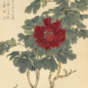 Meet your Posher, Deshae